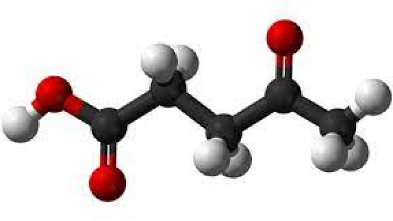Levulinic Acid Market Size, Growth, Industry Demand and Forecast, 2022–2028