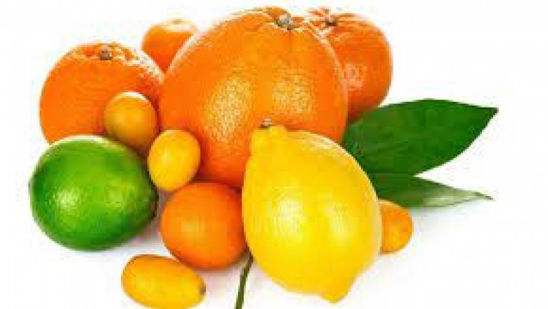 Limonin Market Trends, Share & Forecast Report to 2028