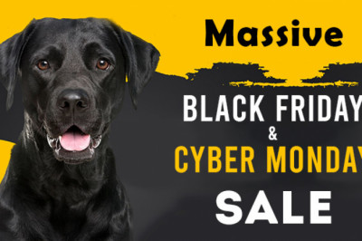 Massive Black Friday And Cyber Monday Sale