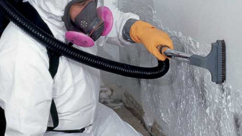 Mold Remediation Services