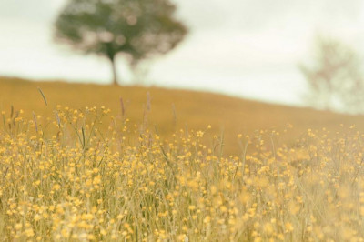 multiple motorcycle insurance