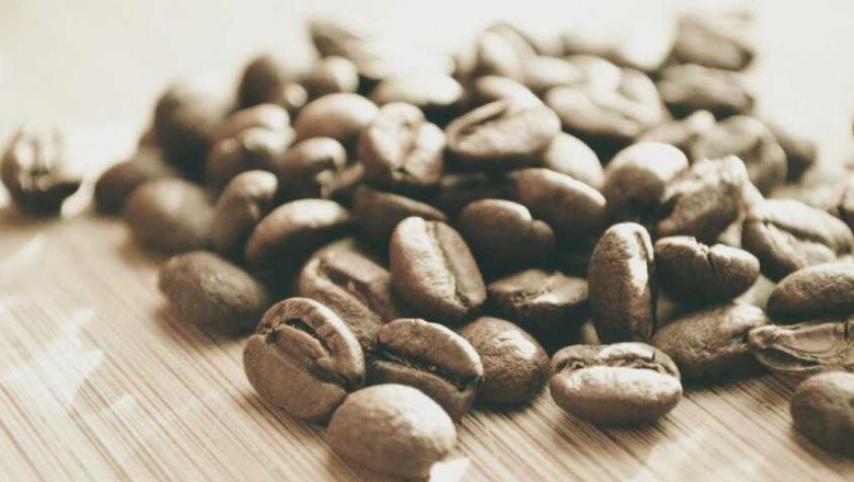 what the best 13377x movies download pros do and you should too