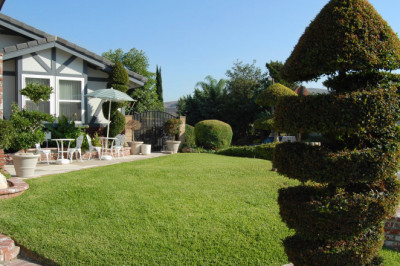 Yes to the Pleasure Garden, No to the Chore Garden