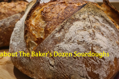 All About The Baker’s Dozen Sourdoughs