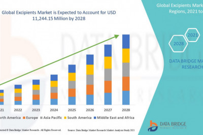 Excipients Market Regulatory Framework, Macro-economic Factors and Industry Demand.