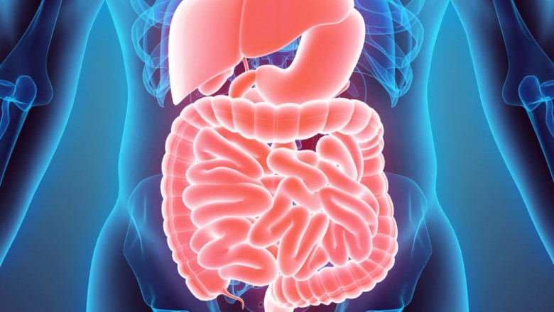 Global Gastrointestinal Stents Market: Trends, Size, Growth, Opportunity, and Forecast to 2022-2028