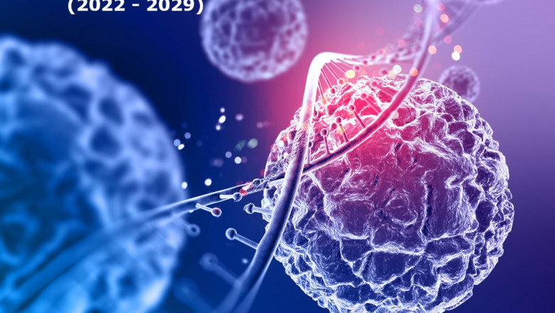Bioactive Materials Market Insights, Share and Complete Strategic Analysis 2022-2029