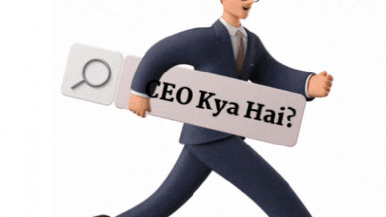 Chief Executive Officer