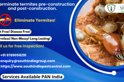 Termite Control in Chennai