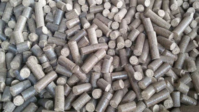 Asia Pacific Briquettes Market Share, Size, Growth and Forecast