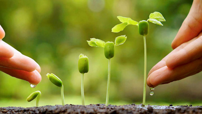 Biostimulants Can Be Used To Treat Nutrient Deficiencies As Well As Protect Plants