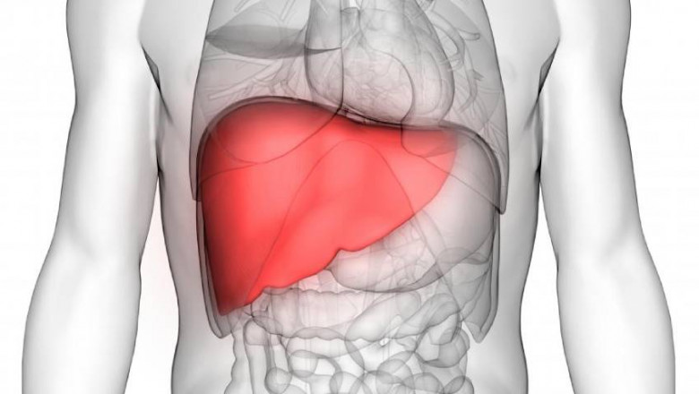 Cadaveric Liver Transplant in Pune | Deceased Donor Liver Transplantation: Dr. Manoj Dongare