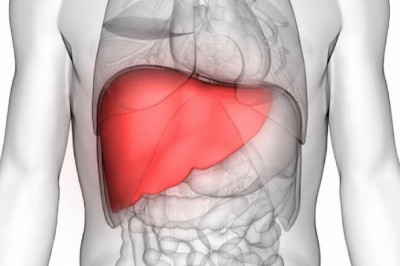 Cadaveric Liver Transplant in Pune | Deceased Donor Liver Transplantation: Dr. Manoj Dongare