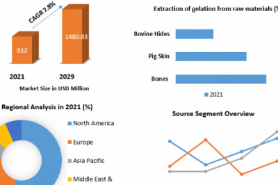 Collagen Peptide and Gelatin Market Business Trends, Region And Forecast 2029