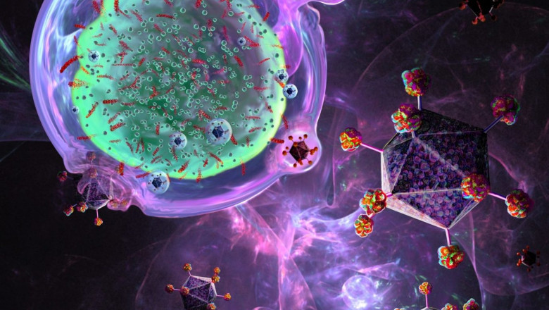Things to know about CAR T Cell Therapy