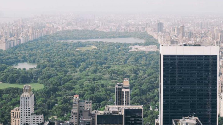 think youre cut out for doing strumpfhose take this quiz