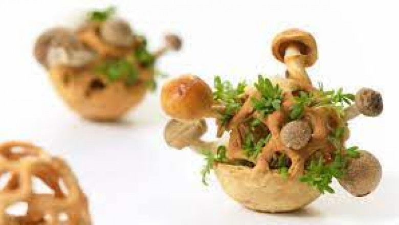 3D Food Printing Market 2022 Industry Report by Key Players, Industry Outlook and Opportunity Analysis till 2028