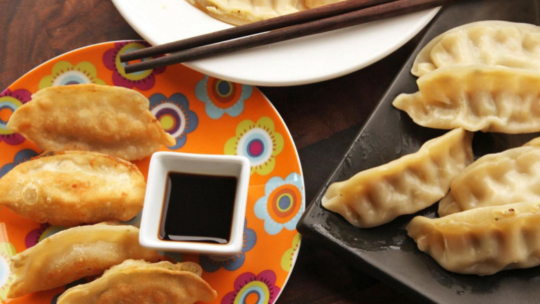 Frozen Dumplings Market Report 2028 | Industry Analysis By Top Key Players