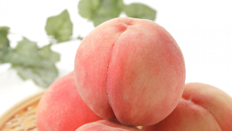 Peach Skin Market Key Players, Share & Forecast Report to 2028