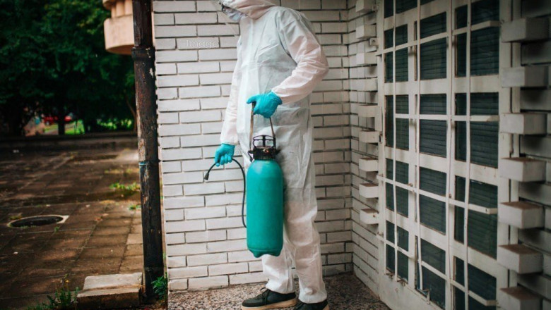 Pest Control Tips for Your Home and office In 2022