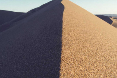 undeniable proof that you need search engine optimization