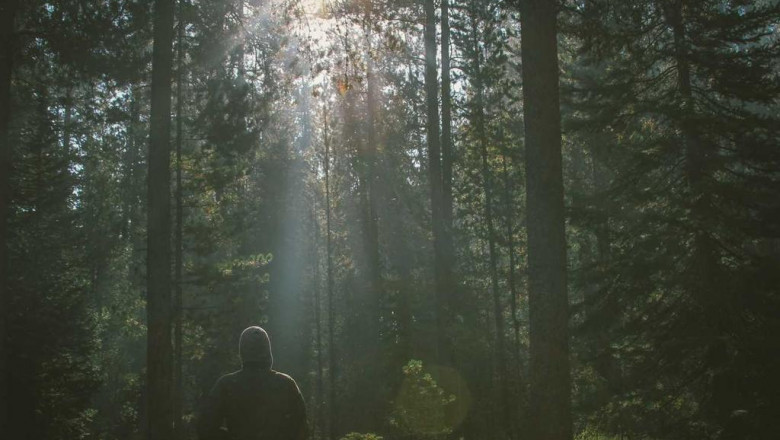 when professionals run into problems with 5methylethylone for sale this is what they do