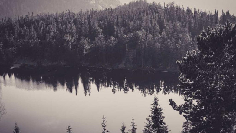 10 secrets about teflon belt you can learn from tv