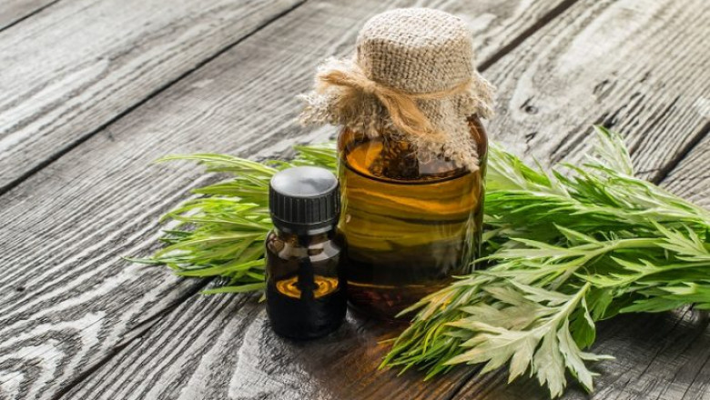 8 Mind-Blowing Deer Antler Velvet Extract Benefits