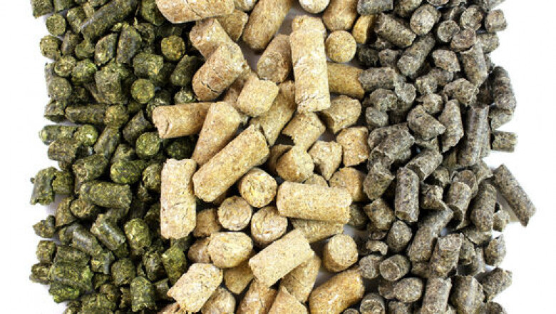 Asia-Pacific Animal Feed Additive Market Share, Growth, Size and Forecast