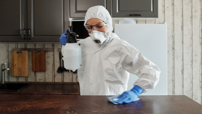 Building and Pest Inspection in the Sydney Area
