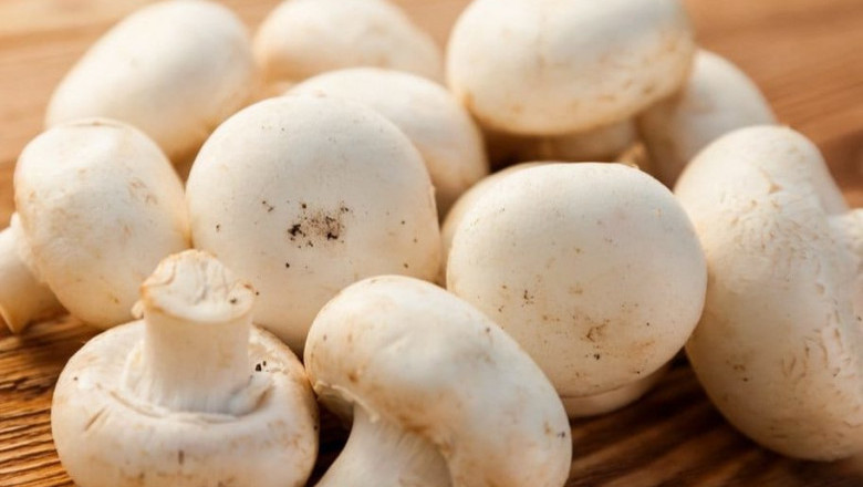 Button Mushroom Market share | Industry Analysis By Top Key Players, Demand, Growth factors to 2028