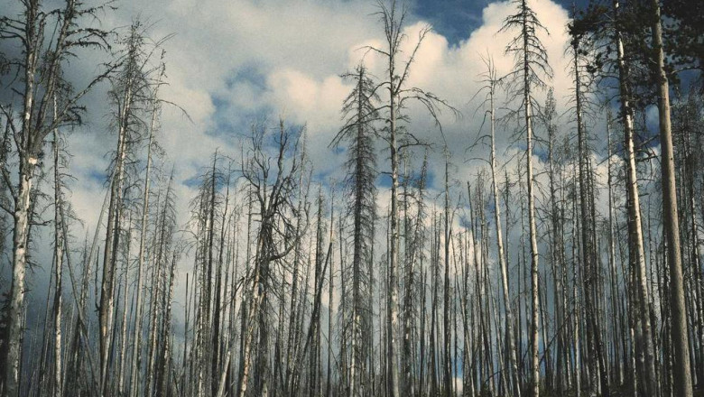 city of regina is 2 million over budget for snow clearing in 2022