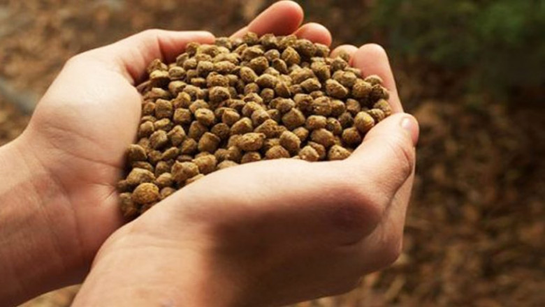 Europe Animal Feed Additive Market Share, Growth, Size and Forecast