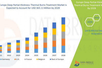 Europe Deep Partial-thickness Thermal Burns Treatment Market current and Future Growth