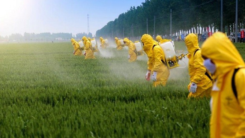 Global Pesticides Market Share, Growth, Size and Forecast