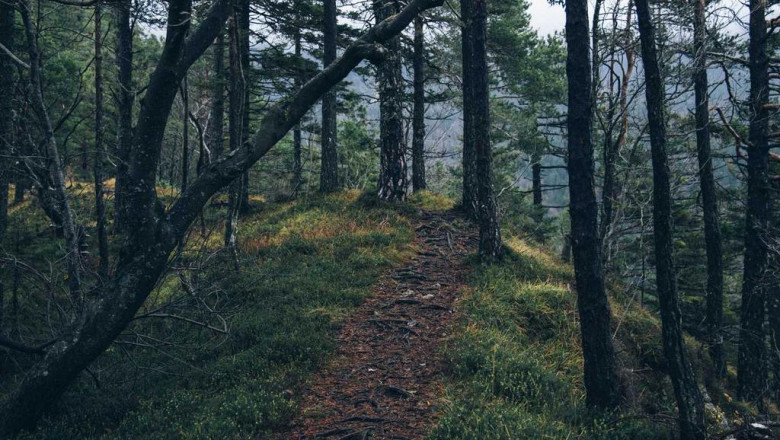 lmh lp khd l kpt mndln bbtvmy