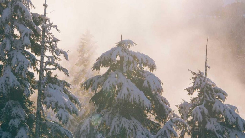 pgewbtrngaimphaaneeynt