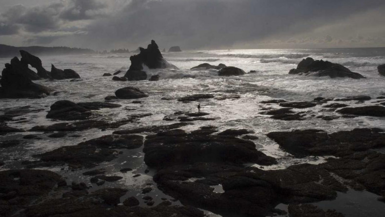 srodek do polerowania ekranow