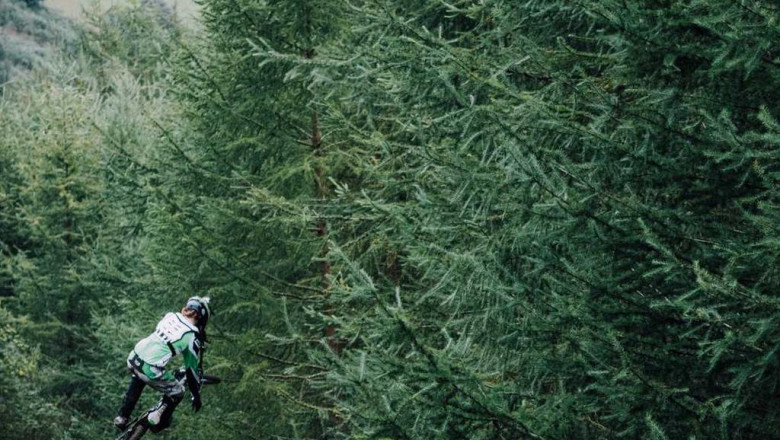 szara ziemia w kuchni jakie sprzety