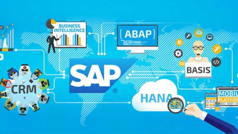 The Complete Guide to Sap Support and How they Can Help You Maintain Your SAP Systems