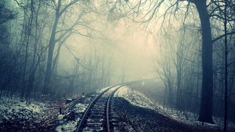 the ultimate guide to girlscout cookies leafly