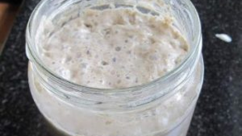 What is Gluten-free Sourdough Starter and Dried Elderberries?