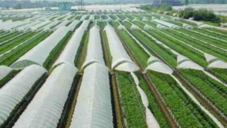 Global Agricultural Films Market Share, Size, Trends, Growth and Forecast