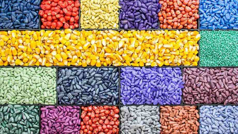 Global Seed Treatment Fungicides Market Share, Size, Trends, Growth and Forecast