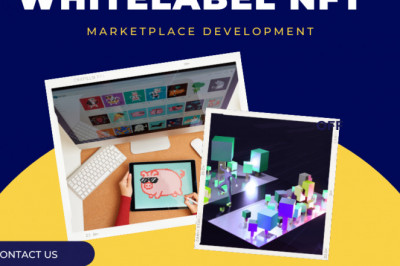 Modernize Your NFT Marketplace With LBM Blockchain Solutions.