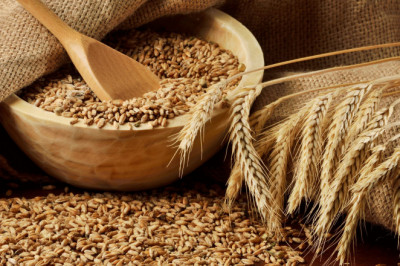 Specialty Malt Market - Forecast (2022 - 2027)