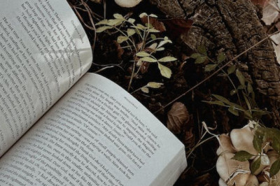 Editor-Author Collaboration: Maximizing the Editing Process