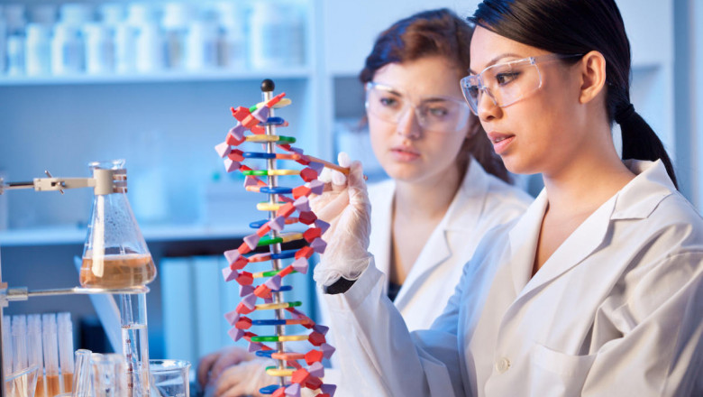 Revolutionizing Biomedical Research: Bioassay Services