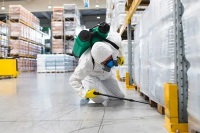 Exploring Homes and Businesses: A Comprehensive Guide to Pest Control Services in Dubai and Abu Dhabi