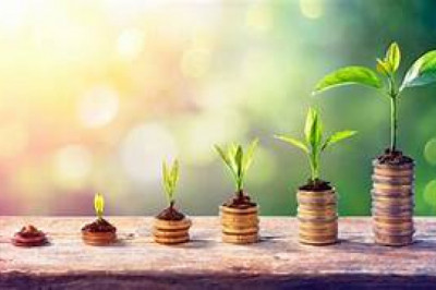 Choosing the Right Term Insurance: Top Plans for Financial Protection